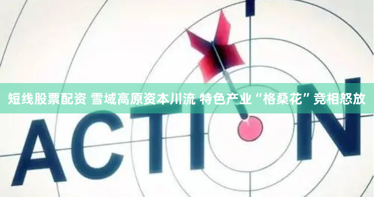 短线股票配资 雪域高原资本川流 特色产业“格桑花”竞相怒放